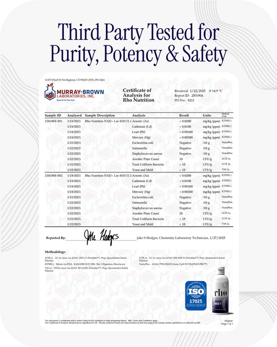 Rho Nutrition - Cellular Health Essentials Bundle – Liquid Liposomal Supplements for Healthy Aging & Cellular Support - NAD+, Curcumin + Resveratrol, & Glutathione (3 Pack)